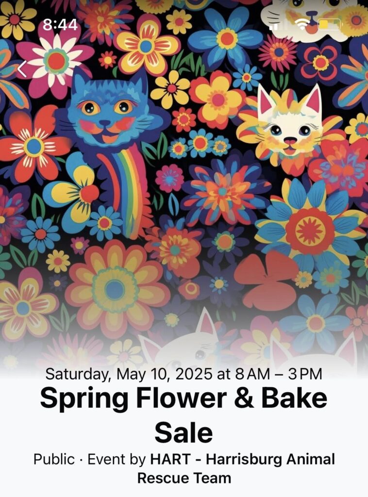 HART’s upcoming Great American Plant & Bake Sale would not be possible without the generous support of our sponsors, whose donations enable us to purchase the flowers we will be selling on May 10. Click on the sponsor list photo and enlarge to see who our sponsors are Please come out, support our cats and kittens, and load up on flowers for mom and yourself. Mother’s Day is the day after our sale. Get her something beautiful!
